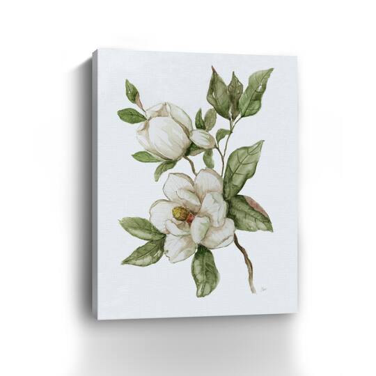 Magnolia Morning II Canvas Giclee
